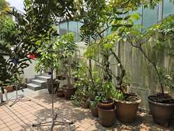 Paya Lebar Crescent (D19), Semi-Detached #628443661